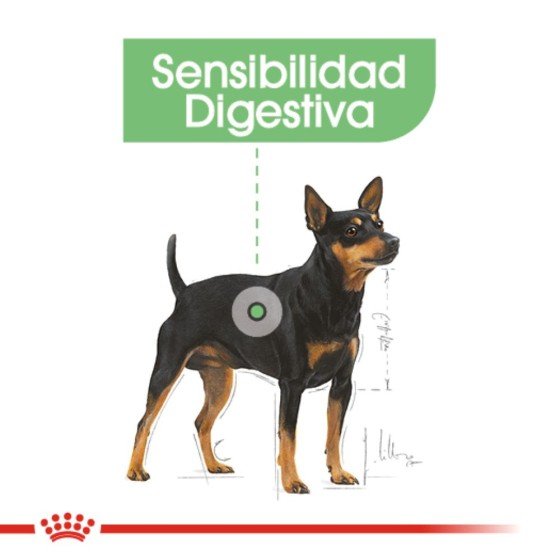 Royal Canin Canine Small Digestive Care 1.59 Kg.