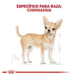 Royal Canin Perro Adulto Chihuahua 1.1 Kg.