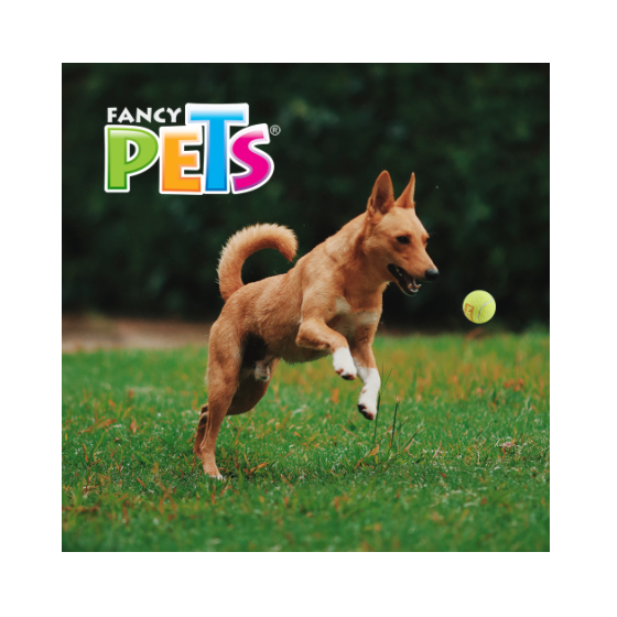 Juguete Pelota Mediana de Tenis con Squeaker 3 Pz., Fancy Pets