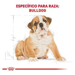Royal Canin Cachorro Bulldog 13.6 Kg.