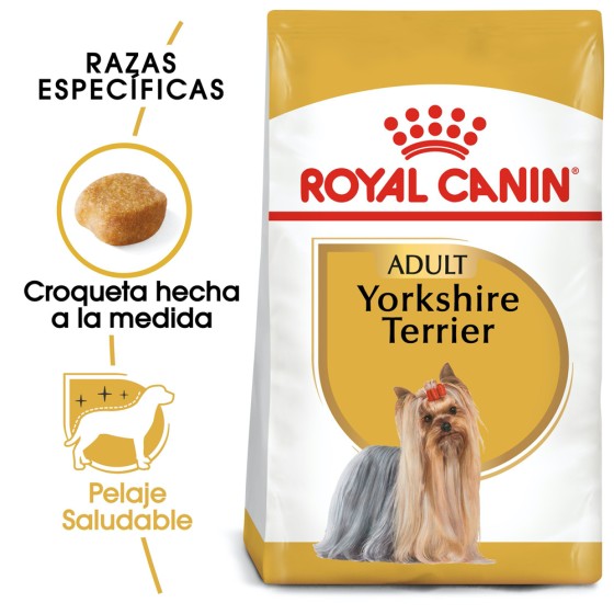 italiano basura vaquero Royal Canin - Royal Canin Alimento para perro Adulto Yorkshire Terr...
