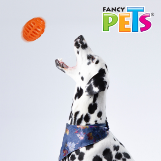 Fancy Pets Juguete Balón De Rugby Grande - Naranja