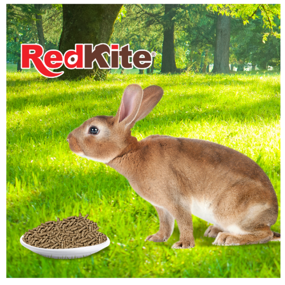 Alimento para Conejo 1 Kg., RedKite