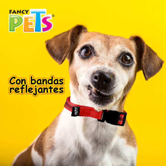Collar Chico con Ultra Grip y Bandas Reflejantes para Perro, Fancy Pets