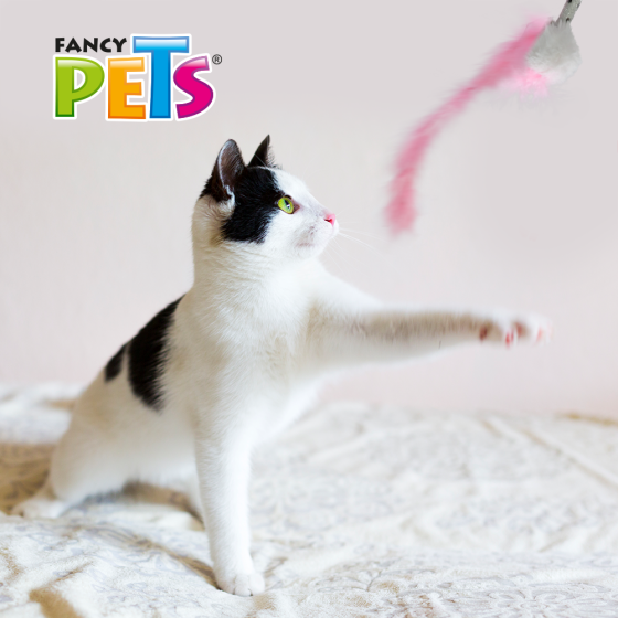 Juguete Lazo de Peluche para Gato, Fancy Pets