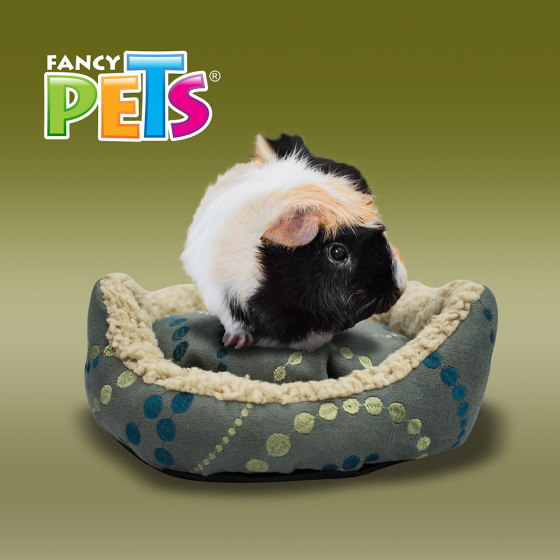 Cama Mini para Pequeños Mamiferos, Fancy Pets