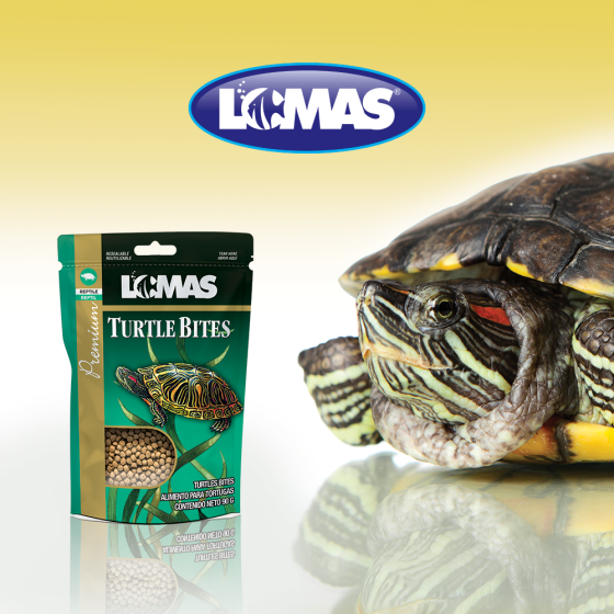 Turtle Bites, Alimento para Tortuga 90 Gr., Acuario Lomas