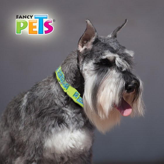 Collar Ajustable Mediano de Nylon con Liston Bordado para Perro Fancy Pets