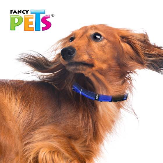 Fancy Pets Collar Mediano Nylon con Bandas Reflejantes para Perro