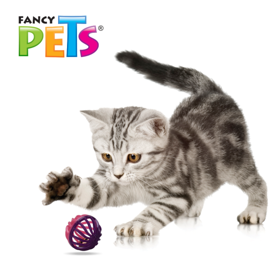 Juguete Pelota Bicolor para Gatos (4 Piezas), Fancy Pets