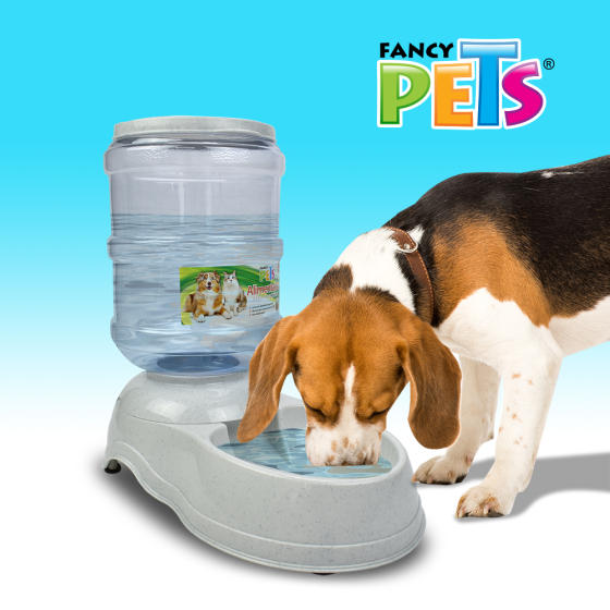 Fancy Pets Alimentador para Perro Gde 6.8 kg
