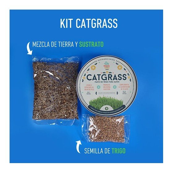Un Dos Treats Catgrass Trigo