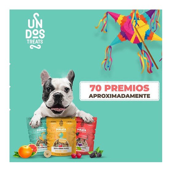 Un Dos Treats Piñata Premios para Perro sabor Res & Moras 156 Gr.