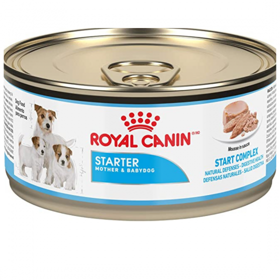 24 latas Royal Canin Starter Mother & Babydog Mousse 145 gr