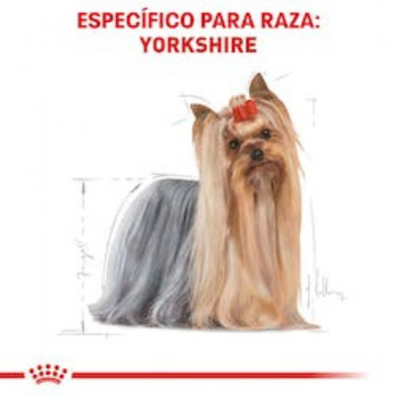 Royal Canin Perro Adulto Yorkshire Terrier 4.5 Kg.