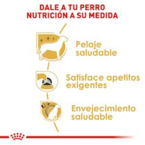 Royal Canin Perro Adulto Yorkshire Terrier 4.5 Kg.
