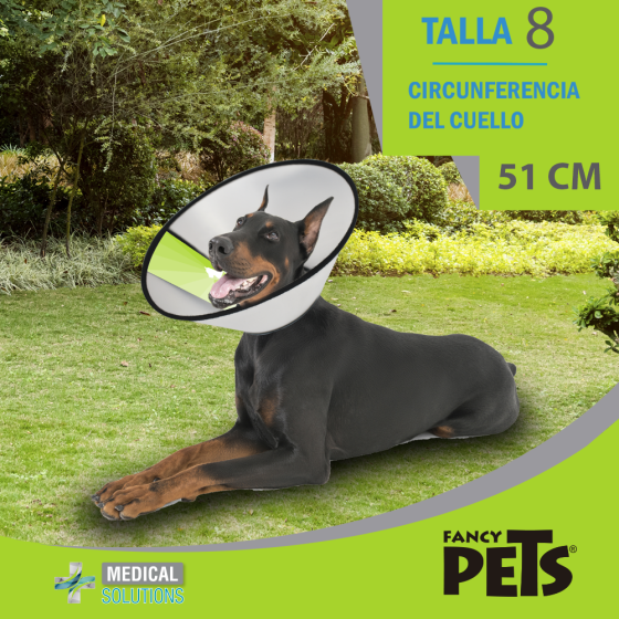 Collar Isabelino Talla 8 (51 cm.), Medical Solution