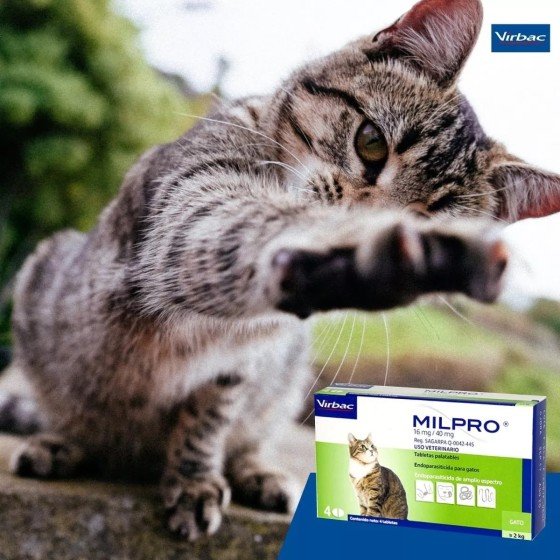 Milpro, Endoparasiticida para Gatos Cachorros y Pequeños 4 Mg./10 Mg. (0.5 - 2 Kg.) 4 Tabletas, Virbac