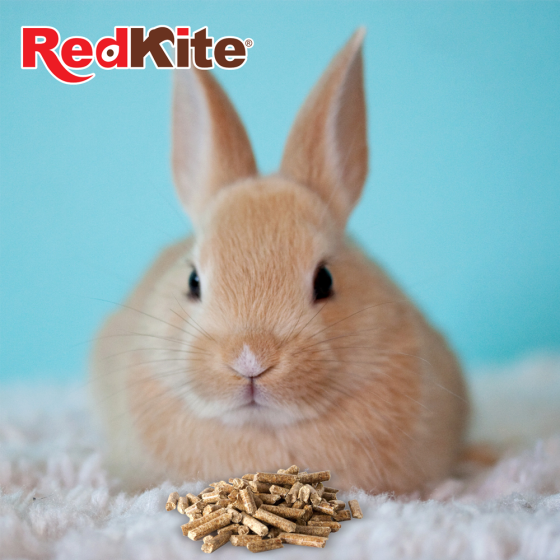 Alimento para Conejo 1.2 Kg., RedKite