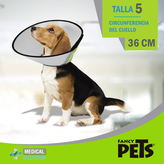 Collar Isabelino Talla 5 (36 cm) Medical Solution