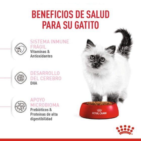 Royal Canin Gato Kitten 1.37 Kg.