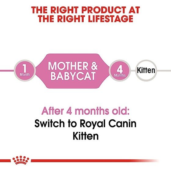 Royal Canin Mother and Babycat 1.37 Kg.