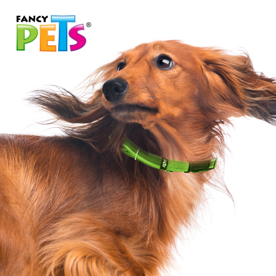 Collar Mediano Nylon y Bandas Reflejantes para Perro, Fancy Pets