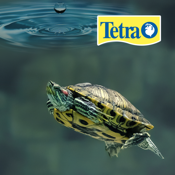 AquaSafe para Reptiles y Anfibios 100 Ml. (3.4 Oz.), Tetra