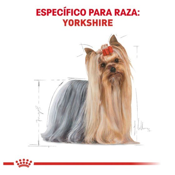 Royal Canin Perro Adulto Yorkshire Terrier 1.1 Kg.