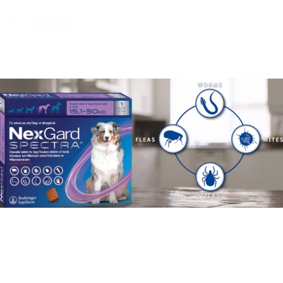 Nexgard Spectra, Tableta Masticable para Perros de 15 a 30 Kg. (1 Tableta), Boehringer