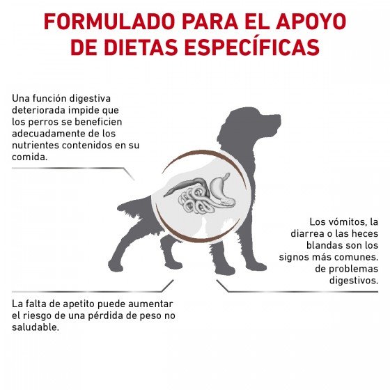 Royal Canin Vet Gastro-Intestinal High Energy Canine 10kg