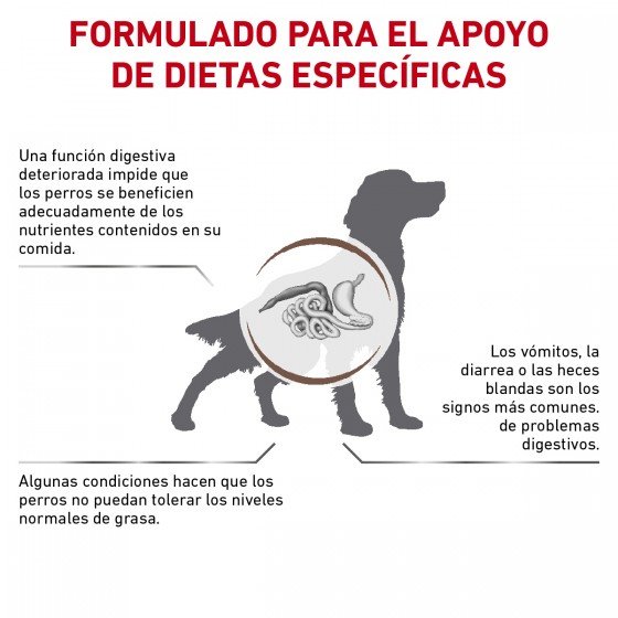 Royal Canin Vet Gastrointestinal Low Fat 13 Kg.