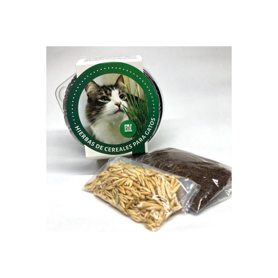 Rutina Verde Avena, Hierbas de Cereales para Gatos, Golden Dog