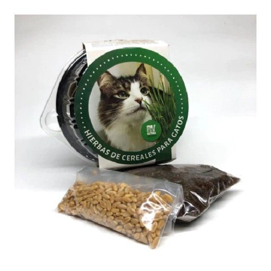 Rutina Verde Trigo, Hierbas de Cereales para Gatos, Golden Dog