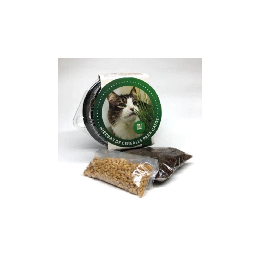 Rutina Verde Trigo, Hierbas de Cereales para Gatos, Golden Dog