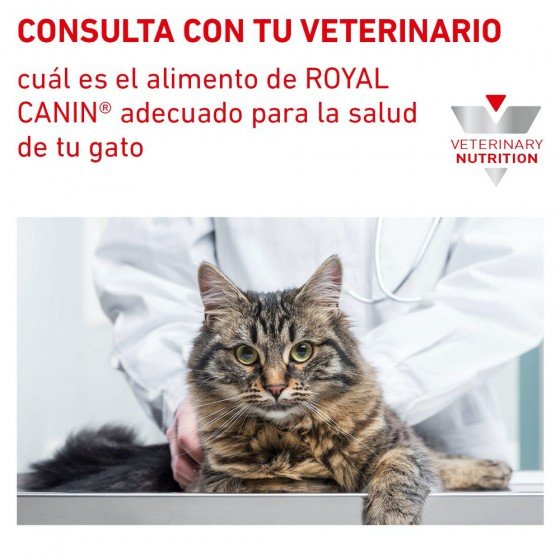 Royal Canin Vet Urinary SO Feline 3.5 Kg.
