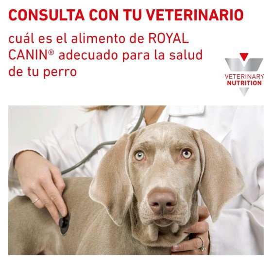 Royal Canin Vet Skin Topic Medium & Large Dog 8 Kg.