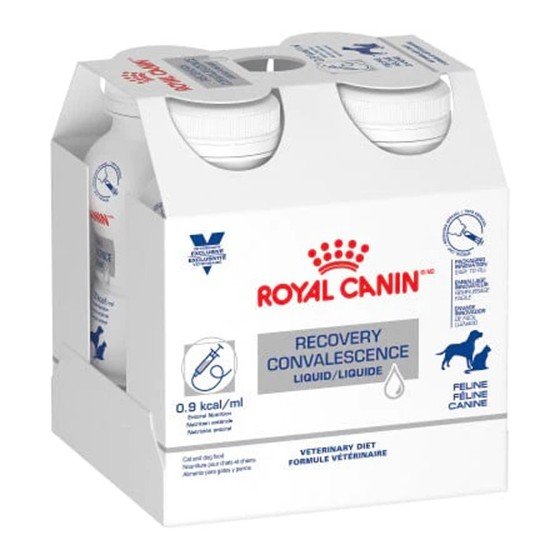 4 Pack Royal Canin Recovery Convalescence Dog & Cat 237 C/u