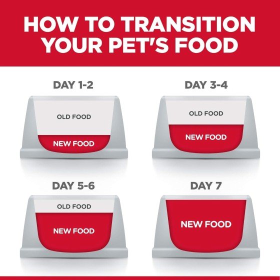 Hill's Science Diet Feline Adult Sensitive Stomach & Skin Chicken & Rice 3.2 Kg.