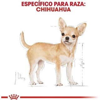 24 Latas Royal Canin Chihuahua Adult 85 Gr c/u