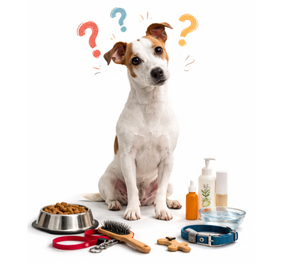 10 preguntas más frecuentes sobre perros