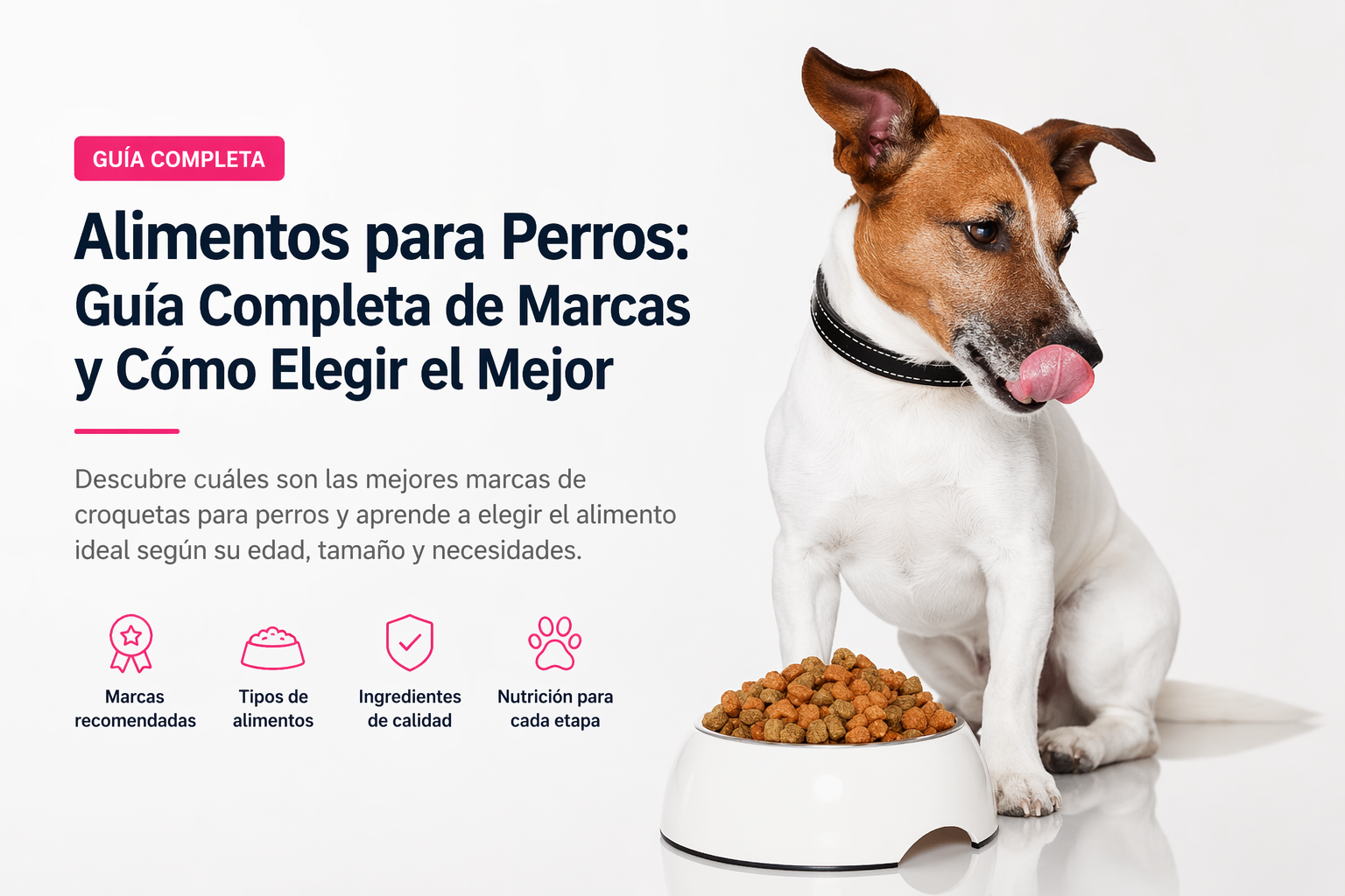 mejor alimento para perros