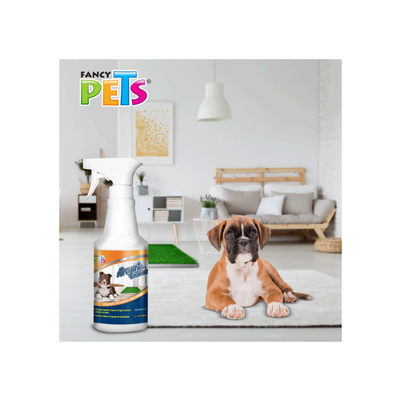 ¿Como entrenar a un cachorro para ir al baño?