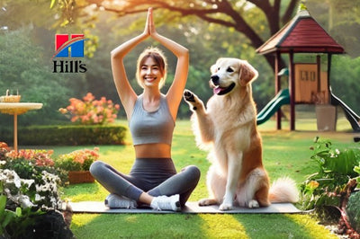 Hill´s Science Diet: Beneficios del Yoga con tu Mascota