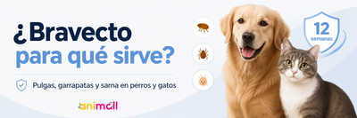 ¿Bravecto para qué sirve?