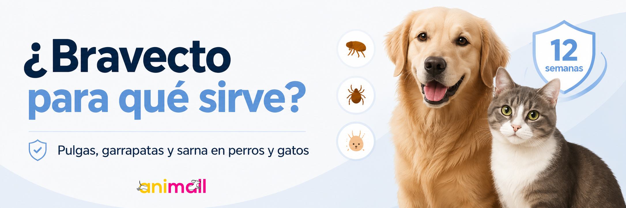 ¿Bravecto para qué sirve?
