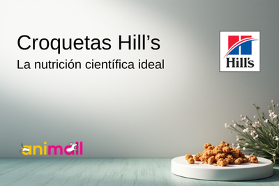 La nutrición científica ideal para perros y gatos