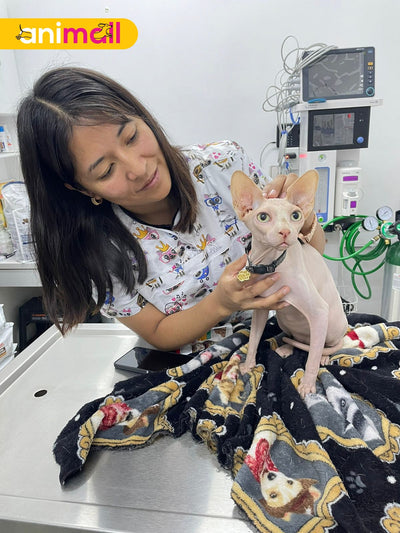 Cuidando la Salud Integral de tu Mascota