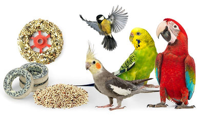 Alimentación de las aves