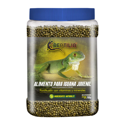 como alimentar a tu iguana